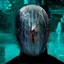 cryptogee profile picture