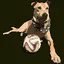 evachin profile picture