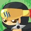 lost-ninja profile picture