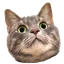luckypower profile picture