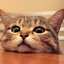 mitsunyah profile picture