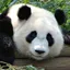 numax profile picture